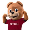 OPTICELL