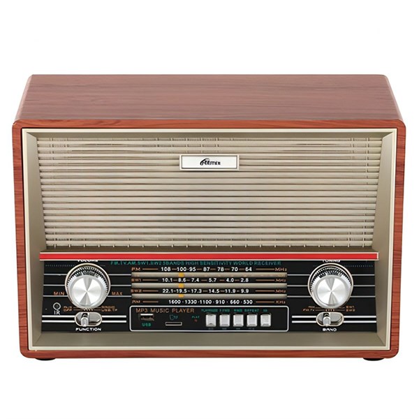 Радиоприемник настольный Ritmix RPR-102 Wood aY1AG-IIji5eY9A3762UA1 - фото 368851