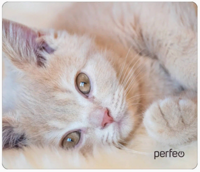 Perfeo Коврик для компьютерной мыши "Cat", Рис.4 (350*300*3 мм), ткань+резиновое основание D44ZqjQCjW1hS7BY5qBr61 - фото 370080