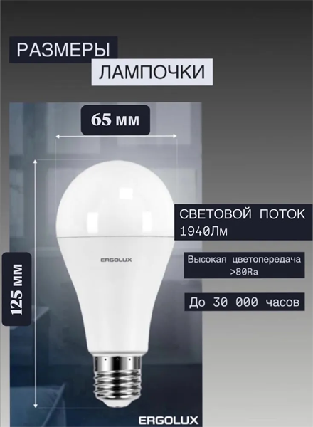 Лампа светодиодная Ergolux 20W-E27-6K 220В 20Вт E27 6500K 0Zg7kBzGjIj8Ejsb9P4Gr1 - фото 372296