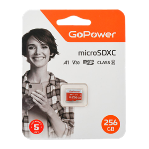 Карта памяти microSD GoPower 256GB Class10 UHS-I (U3) 100 МБ/сек V30 без адаптера 6MCfvl1vjHN213mjL0HQK1