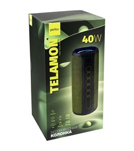 Perfeo Bluetooth-колонка "TELAMON" FM, MP3 USB/TF, AUX, TWS, LED, HF, 40Вт, 4400mAh, зелёный NnYMNN3pii1ng1WN9AiII1