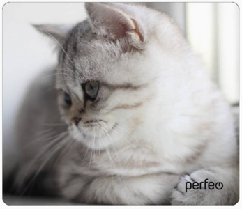 Perfeo Коврик для компьютерной мыши "Cat", Рис.9 (340*280*4 мм), ткань+резиновое основание xdk4tw03gEfgAGJE0XAel1