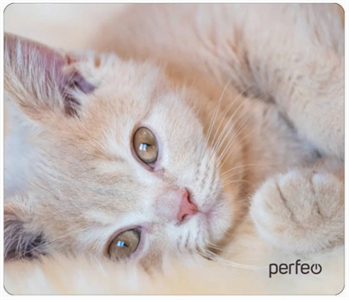 Perfeo Коврик для компьютерной мыши "Cat", Рис.4 (350*300*3 мм), ткань+резиновое основание D44ZqjQCjW1hS7BY5qBr61