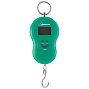 Безмен эл. HomeStar HS-3003, 50кг, дел 1гр (2*ААА в компл) 2692 PhXXgO-khNMAIOTjWxTY30