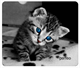 Perfeo Коврик для мыши "Cat", Рис.14 (240*200*2 мм), ткань+резина dcJ8fiKEiOJSjSs707jQZ0 - фото 273765