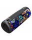 Портативная Bluetooth-колонка (PF_D0347) ZAYA 14Вт граффити 2EEnje4ujcODfvELZIgUC3 - фото 368803