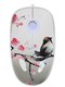Мышь проводная QUMO Office M43 Serenity [23752] белый yvXprGzwjac20QKwhSRjA0 - фото 368811
