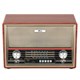 Радиоприемник настольный Ritmix RPR-102 Wood aY1AG-IIji5eY9A3762UA1 - фото 368851