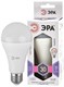 Лампа светодиодная LED A65-30W-860-E27 A65 30Вт груша E27 холод. бел. ЭРА 2vv10QYpidvPuuj5cMsKc1 - фото 369363