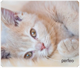 Perfeo Коврик для компьютерной мыши "Cat", Рис.4 (350*300*3 мм), ткань+резиновое основание D44ZqjQCjW1hS7BY5qBr61 - фото 370080
