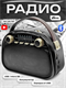 Радиоприемник портативный Ritmix RPR-040 SPHI6x-6jnaPRVk9o5yPD1 - фото 371423