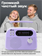 Радиоприёмник RITMIX RPR-045 LAVENDER 0kBniUrRiRoQE3bU8eV1R0