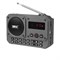 Радиоприемник RITMIX RPR-010, Bluetooth v.5.3, диктофон, USB флэш/microSD, вход AUX, LED дисплей, темно-серый doVl0c22g6oCGgJnRyaas3 - фото 455